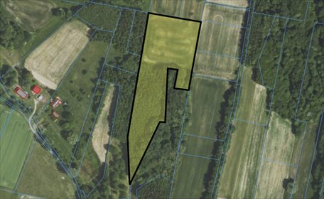 Duża działka 1,46 ha z lasem i potencjałem inwestycyjnym działka Nockowa