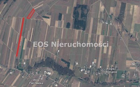 Działka rolna 1,82 ha w Wola Palczewska - polecam! działka Wola Palczewska