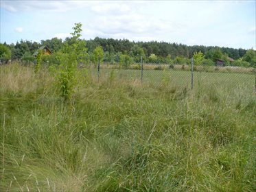 Działka rekreacyjna na sprzedaż Żołędowo 2 000m2 Foto 2