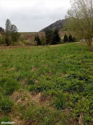 działka na sprzedaż 1190m2 działka Jedlina-Zdrój