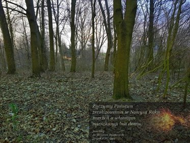 działka na sprzedaż 3300m2 działka Kocianów