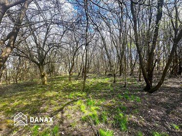 działka na sprzedaż 1150m2 działka Lednica Górna