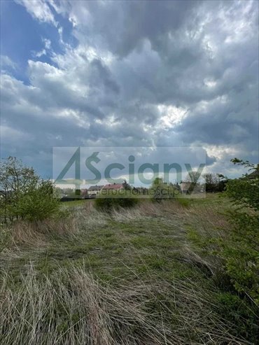 działka na sprzedaż 2434m2 działka Łubna