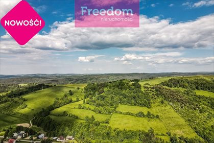 Działka rekreacyjna na sprzedaż Borownica 25 700m2 Foto 6
