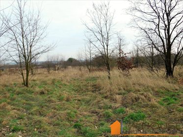 Działka rolna na sprzedaż Baranów Sandomierski, Fabryczna 970m2 Foto 5