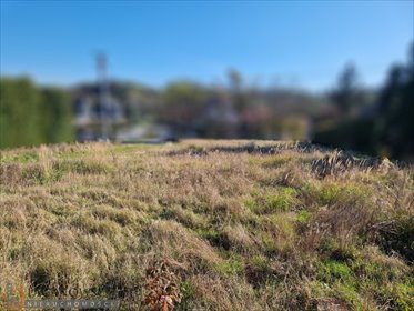 działka na sprzedaż 1300m2 działka Maciejowice