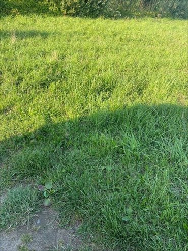 działka na sprzedaż 300m2 działka Łazy
