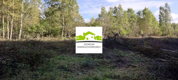 działka na sprzedaż 13000m2 działka Ostrowo