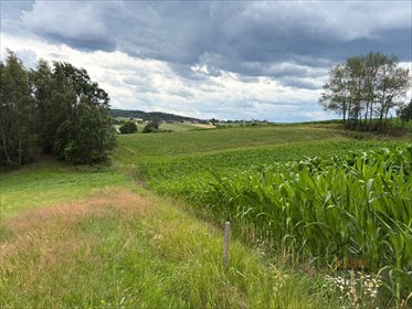 Zapraszam do zakupu działki rolnej 20 000 m² z dojazdem od asfaltu działka Wyźrał