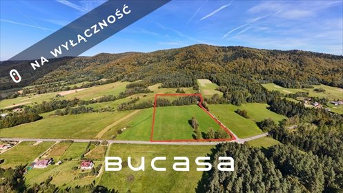 działka na sprzedaż 32800m2 działka Nowy Sącz