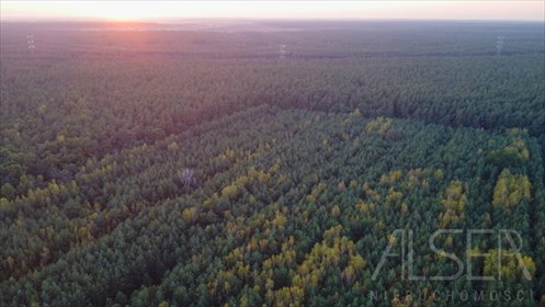 działka na sprzedaż 25988m2 działka Trzcianka