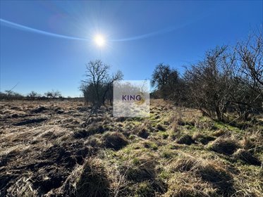 działka na sprzedaż 2440m2 działka Gryfino