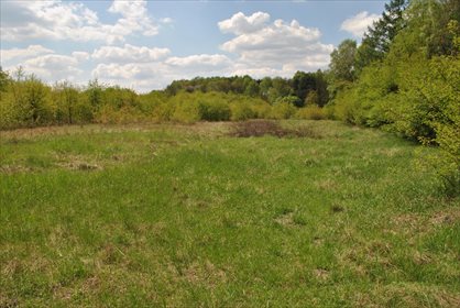Działka rekreacyjna na sprzedaż Mysłowice, Brzęczkowice 9 600m2 Foto 2