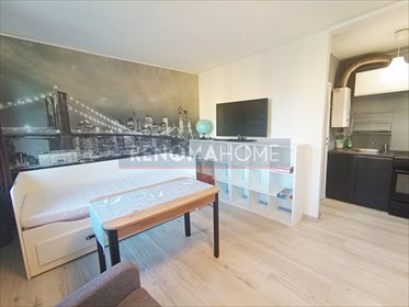 mieszkanie na wynajem 28m2 mieszkanie Lubin