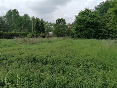 Duża działka 2700 m² z mediami i potencjałem inwestycyjnym działka Orzesze, Ogrodowa