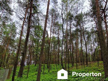 Na sprzedaż działka rekreacyjna 900 m² z widokiem na wodę działka Borówek