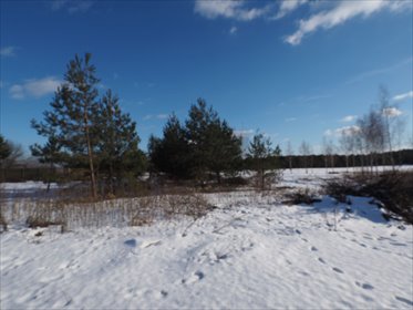 działka na sprzedaż 1200m2 działka Wieliszew, Wieliszew, Modlińska