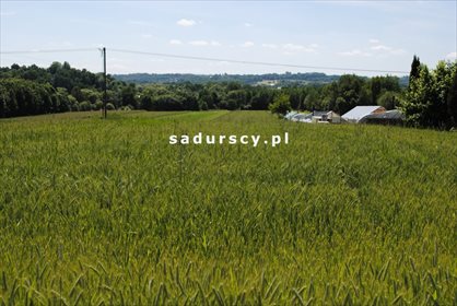 Działka budowlana na sprzedaż Wielkie Drogi 8 900m2 Foto 7