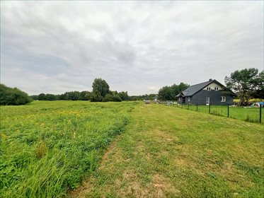 Działka siedliskowa na sprzedaż Malerzów, Dobroszyce 2 000m2 Foto 4