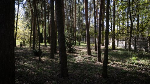 działka na sprzedaż 2388m2 działka Rąbień Ab, Wycieczkowa