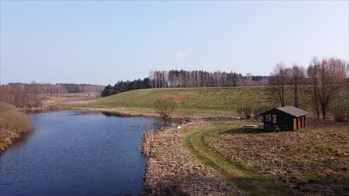 działka na sprzedaż 18381m2 działka Huta-Chojno, Huta-Chojno