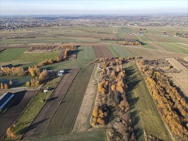 działka na sprzedaż 37347m2 działka Cianowice