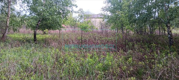 działka na sprzedaż 1500m2 działka Międzyborów