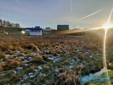 działka na sprzedaż 700m2 działka Mogielnica