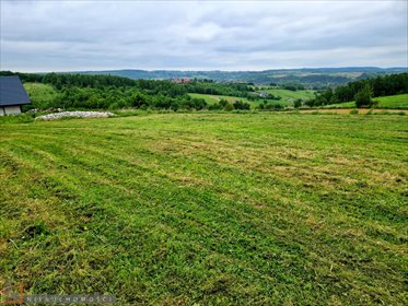 działka na sprzedaż 2512m2 działka Kozierów