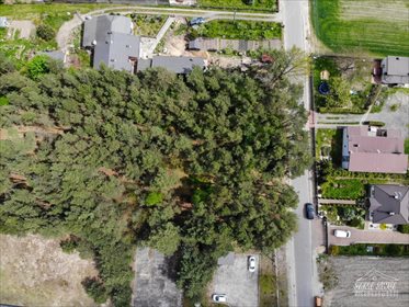 Działka leśna na sprzedaż Pożdżenice 6 206m2 Foto 2