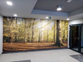 Kmicica Łódź, ul. Kmicica Foto 5