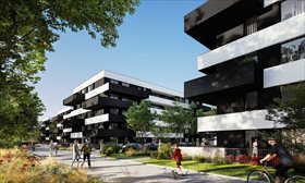 ZIELONY AUGUSTÓW Łódź, Widzew, Przybyszewskiego 292 Foto 3