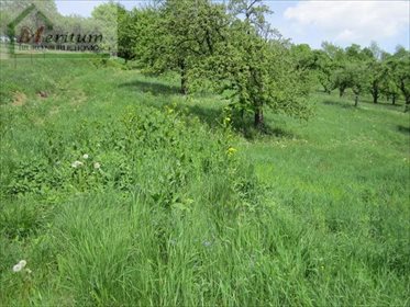 Działka budowlana na sprzedaż Rytro 1 000m2 Foto 4