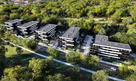 ZIELONY AUGUSTÓW Łódź, Widzew, Przybyszewskiego 292 Foto 4
